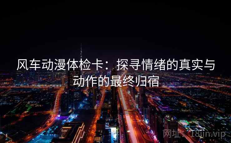 风车动漫体检卡：探寻情绪的真实与动作的最终归宿