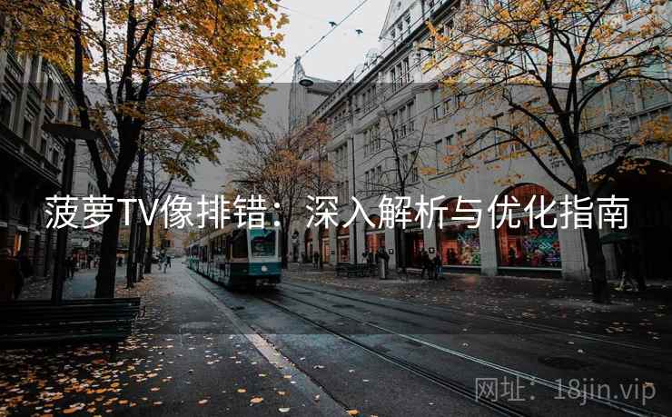 菠萝TV像排错:深入解析与优化指南 菠萝TV像排错:深入解析与优化指南
