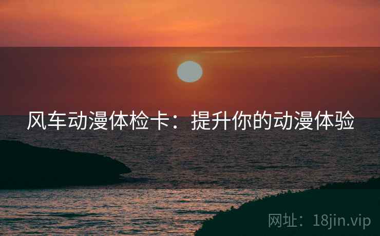 风车动漫体检卡：提升你的动漫体验