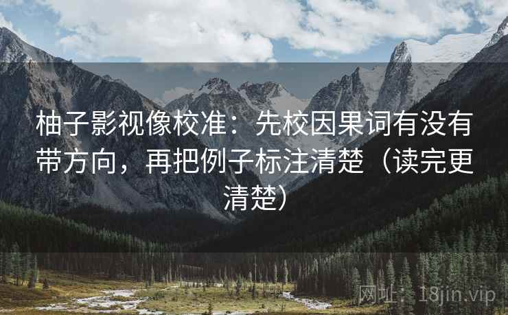 柚子影视像校准：先校因果词有没有带方向，再把例子标注清楚（读完更清楚）